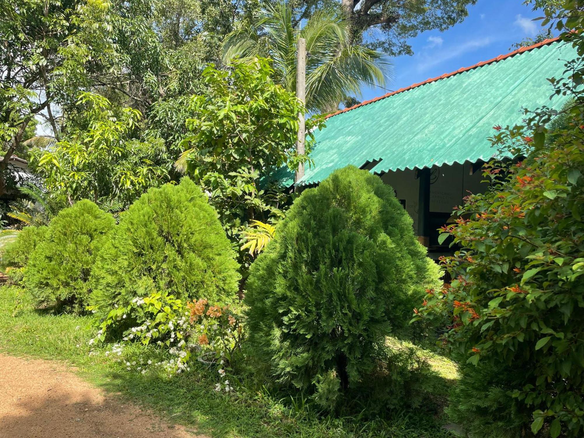 Sigiri Shen Residence 锡吉里亚 外观 照片